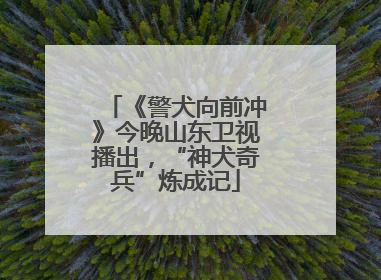 《警犬向前冲》今晚山东卫视播出，“神犬奇兵”炼成记