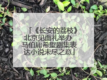 《长安的荔枝》北京见面礼举办 马伯庸希望剧集表达小说未尽之意