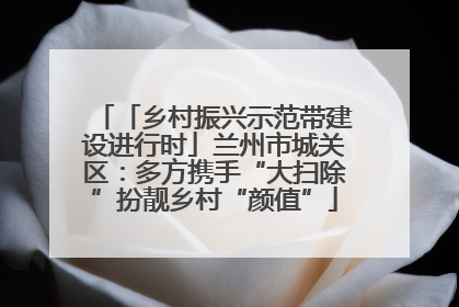 「乡村振兴示范带建设进行时」兰州市城关区：多方携手“大扫除”扮靓乡村“颜值”