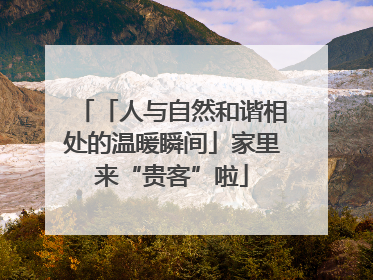 「人与自然和谐相处的温暖瞬间」家里来“贵客”啦