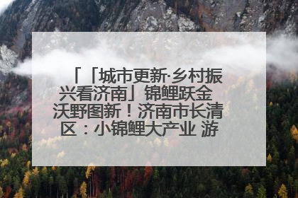 「城市更新·乡村振兴看济南」锦鲤跃金 沃野图新！济南市长清区：小锦鲤大产业 游出农旅新风景