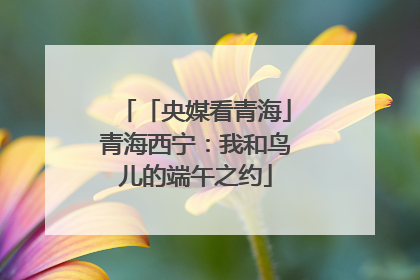「央媒看青海」青海西宁：我和鸟儿的端午之约