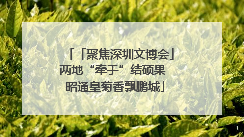 「聚焦深圳文博会」两地“牵手”结硕果 昭通皇菊香飘鹏城