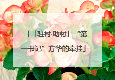 「驻村·助村」“第一书记”方华的牵挂