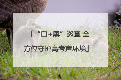 “白+黑”巡查 全方位守护高考声环境