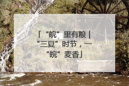 “皖”里有粮｜“三夏”时节，一“皖”麦香