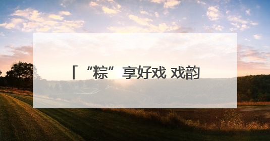 “粽”享好戏 戏韵流芳！共赴河北“中华有好戏”特别之约