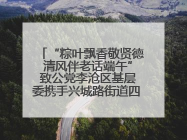 “粽叶飘香敬贤德 清风伴老话端午” 致公党李沧区基层委携手兴城路街道四流北路社区开展端午节主题活动