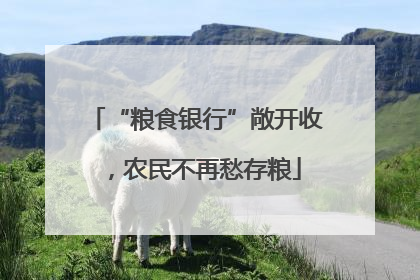 “粮食银行”敞开收，农民不再愁存粮