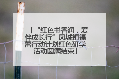“红色书香润，爱伴成长行”凤城镇福蕾行动计划红色研学活动圆满结束