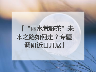 “丽水荒野茶”未来之路如何走？专题调研近日开展