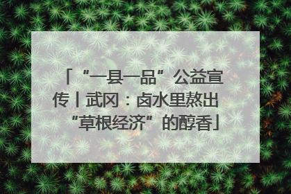 “一县一品”公益宣传丨武冈：卤水里熬出“草根经济”的醇香