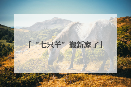 “七只羊”搬新家了