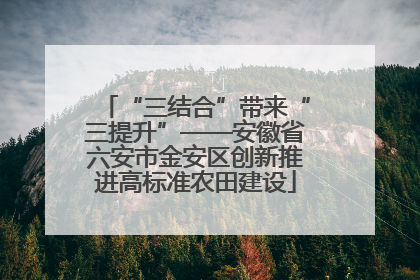 “三结合”带来“三提升”——安徽省六安市金安区创新推进高标准农田建设