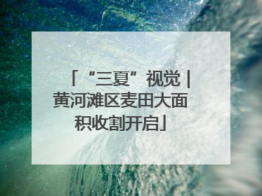 “三夏”视觉｜黄河滩区麦田大面积收割开启