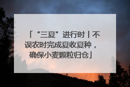 “三夏”进行时丨不误农时完成夏收夏种，确保小麦颗粒归仓
