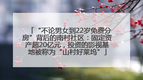 “不论男女到22岁免费分房”背后的南村社区：固定资产超20亿元，投资的影视基地被称为“山村好莱坞”