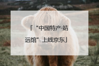 “中国特产·靖远馆”上线京东