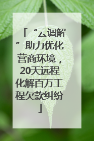 “云调解”助力优化营商环境，20天远程化解百万工程欠款纠纷