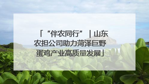 “伴农同行”｜山东农担公司助力菏泽巨野蛋鸡产业高质量发展