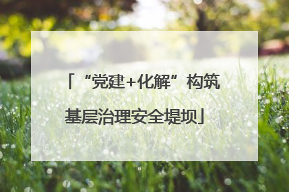 “党建+化解”构筑基层治理安全堤坝