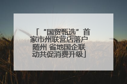 “国贸甄选”首家市州联营店落户随州 省地国企联动共促消费升级