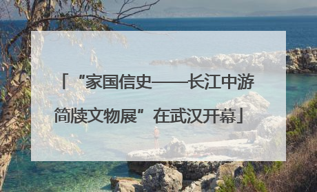 “家国信史——长江中游简牍文物展”在武汉开幕