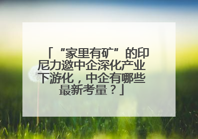 “家里有矿”的印尼力邀中企深化产业下游化，中企有哪些最新考量？