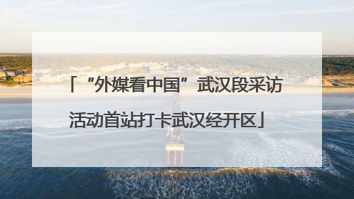 “外媒看中国”武汉段采访活动首站打卡武汉经开区