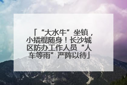 “大水牛”坐镇，小撬棍随身！长沙城区防办工作人员“人车等雨”严阵以待
