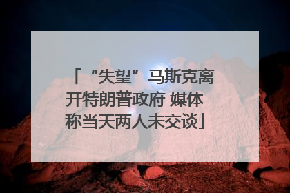 “失望”马斯克离开特朗普政府 媒体称当天两人未交谈
