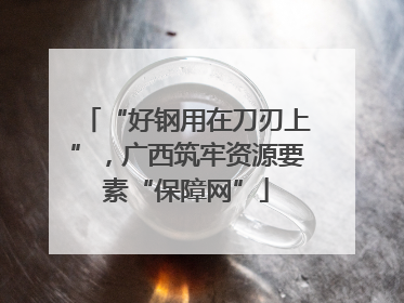“好钢用在刀刃上”，广西筑牢资源要素“保障网”
