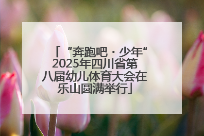 “奔跑吧・少年”2025年四川省第八届幼儿体育大会在乐山圆满举行