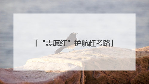 “志愿红”护航赶考路