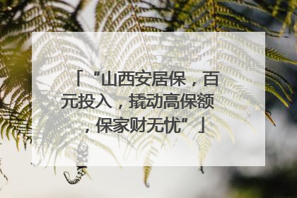 “山西安居保，百元投入，撬动高保额，保家财无忧”