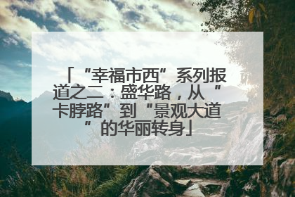 “幸福市西”系列报道之二：盛华路，从“卡脖路”到“景观大道”的华丽转身