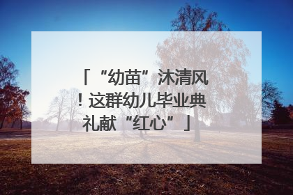 “幼苗”沐清风！这群幼儿毕业典礼献“红心”