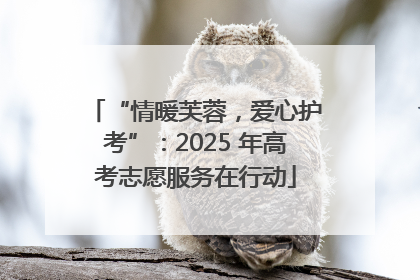 “情暖芙蓉，爱心护考”：2025 年高考志愿服务在行动