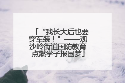 “我长大后也要穿军装！”——观沙岭街道国防教育点燃学子报国梦