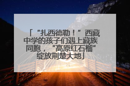 “扎西德勒！”西藏中学的孩子们遇上藏族同胞，“高原红石榴”绽放荆楚大地