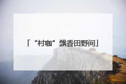 “村咖”飘香田野间
