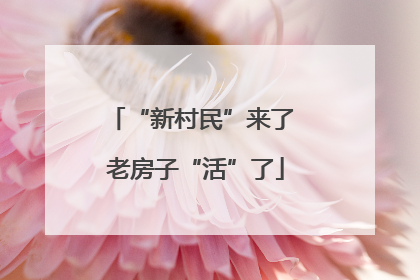 “新村民”来了 老房子“活”了
