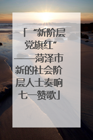 “新阶层 党旗红”——菏泽市新的社会阶层人士奏响七一赞歌