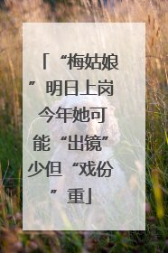 “梅姑娘”明日上岗 今年她可能“出镜”少但“戏份”重