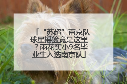 “苏超”南京队球星摇篮竟是这里？雨花实小9名毕业生入选南京队