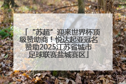 “苏超”迎来世界杯顶级赞助商！悦达起亚冠名赞助2025江苏省城市足球联赛盐城赛区