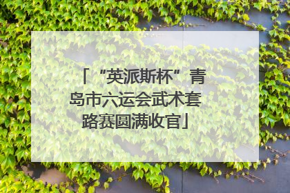 “英派斯杯”青岛市六运会武术套路赛圆满收官