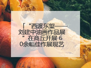 “西渡东望——刘建中油画作品展”在商丘开展 60余幅佳作展现艺术魅力