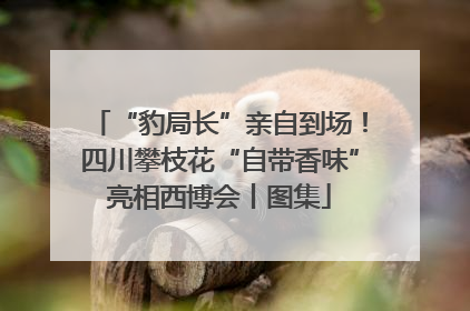 “豹局长”亲自到场！四川攀枝花“自带香味”亮相西博会丨图集