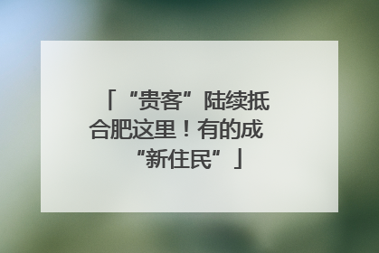 “贵客”陆续抵合肥这里！有的成“新住民”